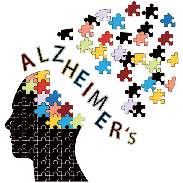 Chơi game đánh bài giúp ngăn ngừa bệnh Alzheimer